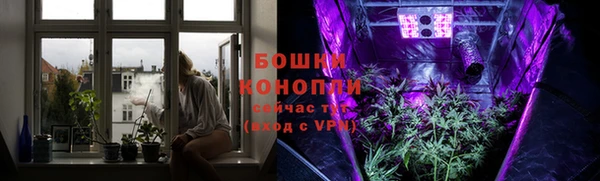 стаф Кинешма