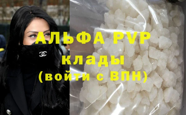 стаф Кинешма