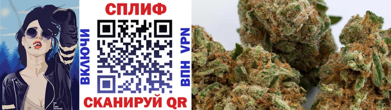 Шишки марихуана THC 21%  Купить где  Ульяновск 